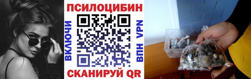 хочу наркоту  Отрадное  Галлюциногенные грибы ЛСД 